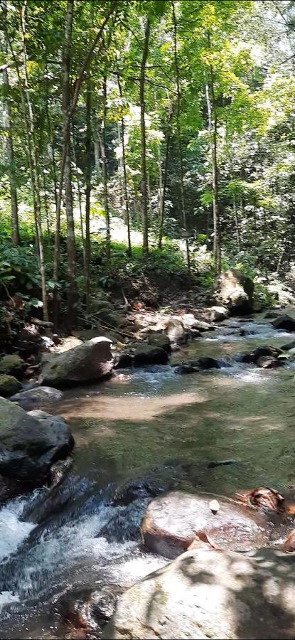 L'Javas Villas Kalibendo Kültér fotó
